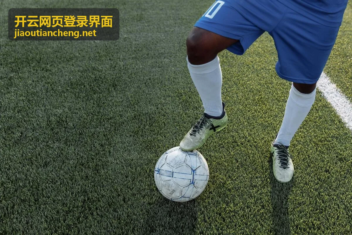 开云网页登录界面地址栏核对示意