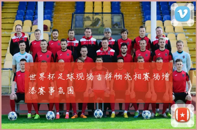 世界杯足球现场吉祥物亮相赛场增添赛事氛围