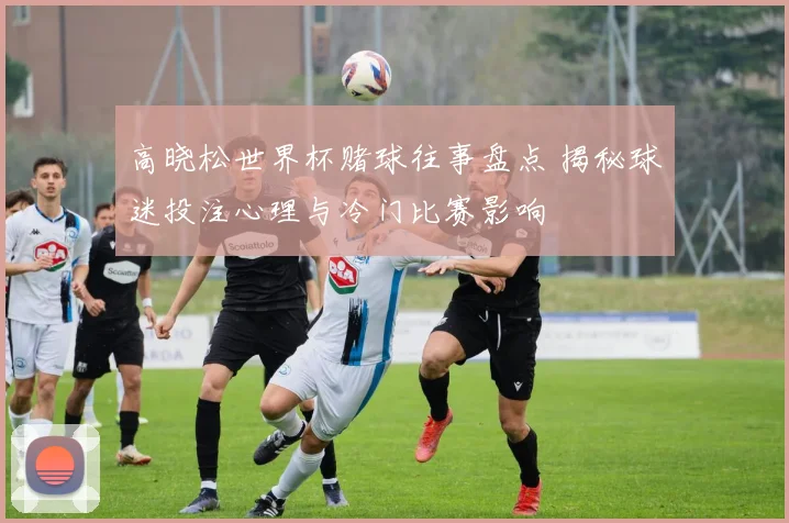 高晓松世界杯赌球往事盘点 揭秘球迷投注心理与冷门比赛影响