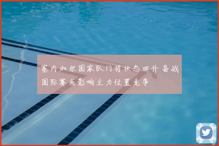 塞内加尔国家队门将状态回升 备战国际赛或影响主力位置竞争