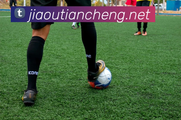 开云在线官网登录入口APP 封面图